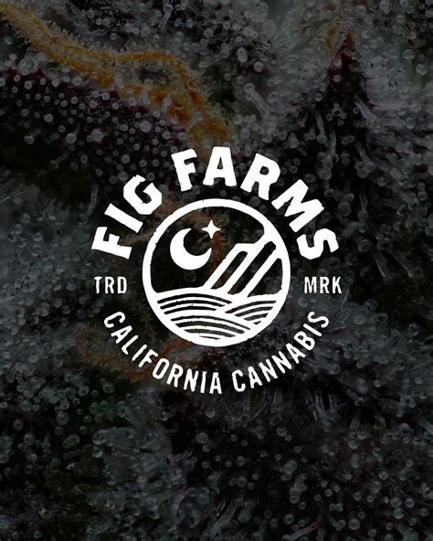 Fig farms. Things To Know About Fig farms. 